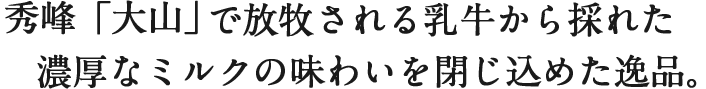 もさえびせんべい